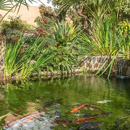 Διαμέρισμα Casablanca 50 Oasis Nerja