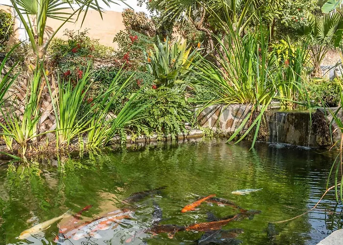 Διαμέρισμα Casablanca 50 Oasis Nerja