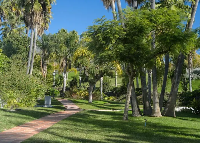 Casablanca 50 Oasis * 네르하