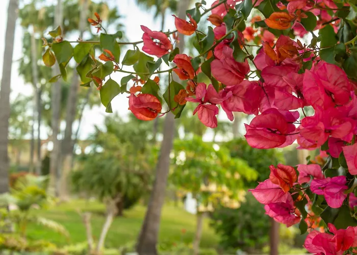 Casablanca 50 Oasis Apartamento